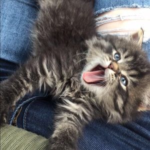 Meet your Posher, Bryana